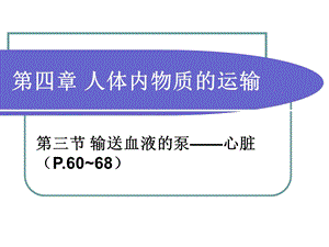 《输送血液的泵心脏》ppt课件.ppt