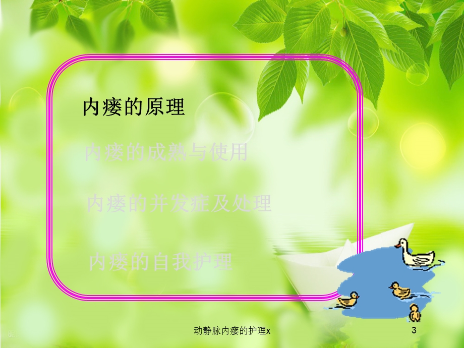 动静脉内瘘的护理x培训课件.ppt_第3页