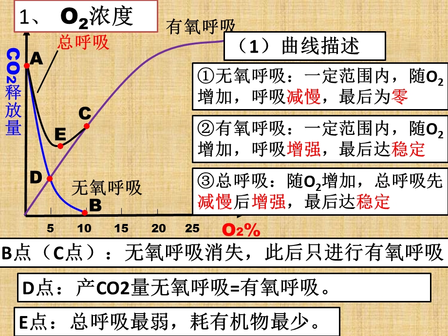 一轮复习细胞呼吸影响因素复习ppt课件.ppt_第2页