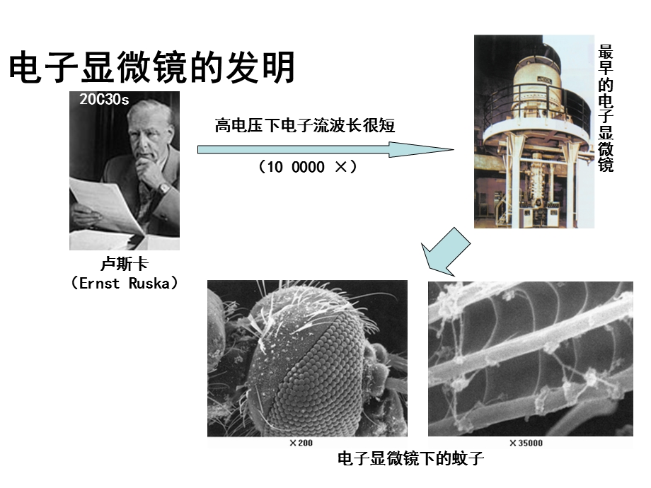 一轮复习(定)专题2细胞的结构和功能ppt课件.ppt_第3页