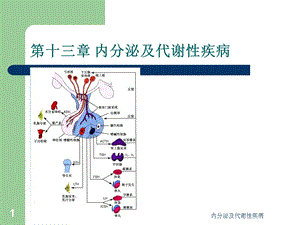 内分泌及代谢性疾病课件.ppt