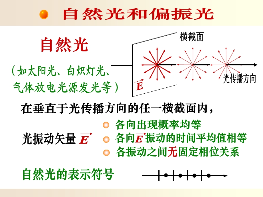 光的偏振课件.ppt_第2页