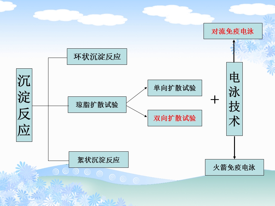 免疫沉淀实验课件.pptx_第3页