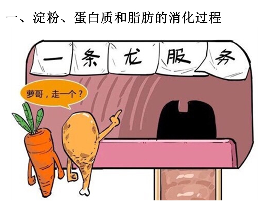 初中生物 消化和吸收教学课件设计.ppt_第2页