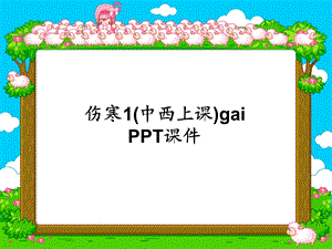 伤寒1(中西上课)gai课件.ppt