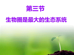 《生物圈是最大的生态系统》PPT课件.ppt