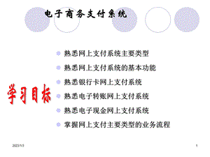 《电子商务支付系统》PPT课件.ppt