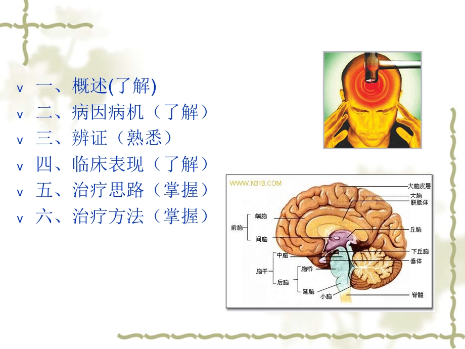 《推拿学头痛》PPT课件.ppt_第2页