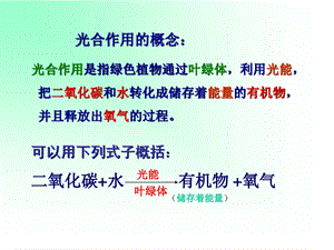 初中光合作用和呼吸作用课件.ppt