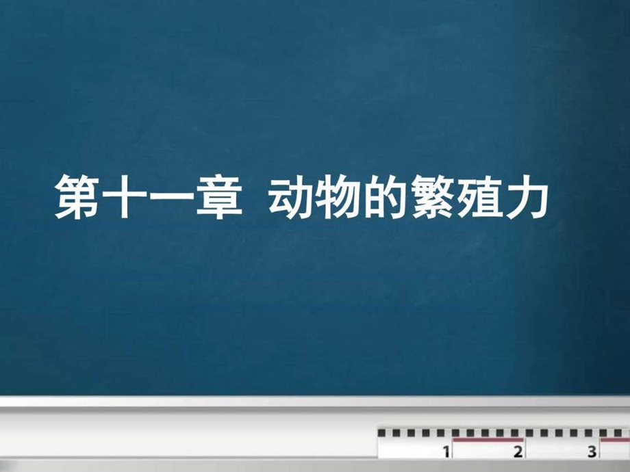 动物繁殖学课件第11章.ppt_第1页