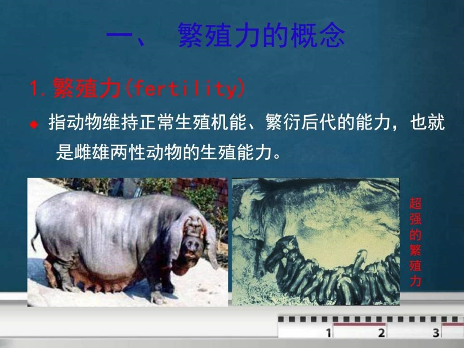 动物繁殖学课件第11章.ppt_第3页