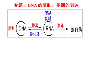 专题基因的表达ppt课件.ppt