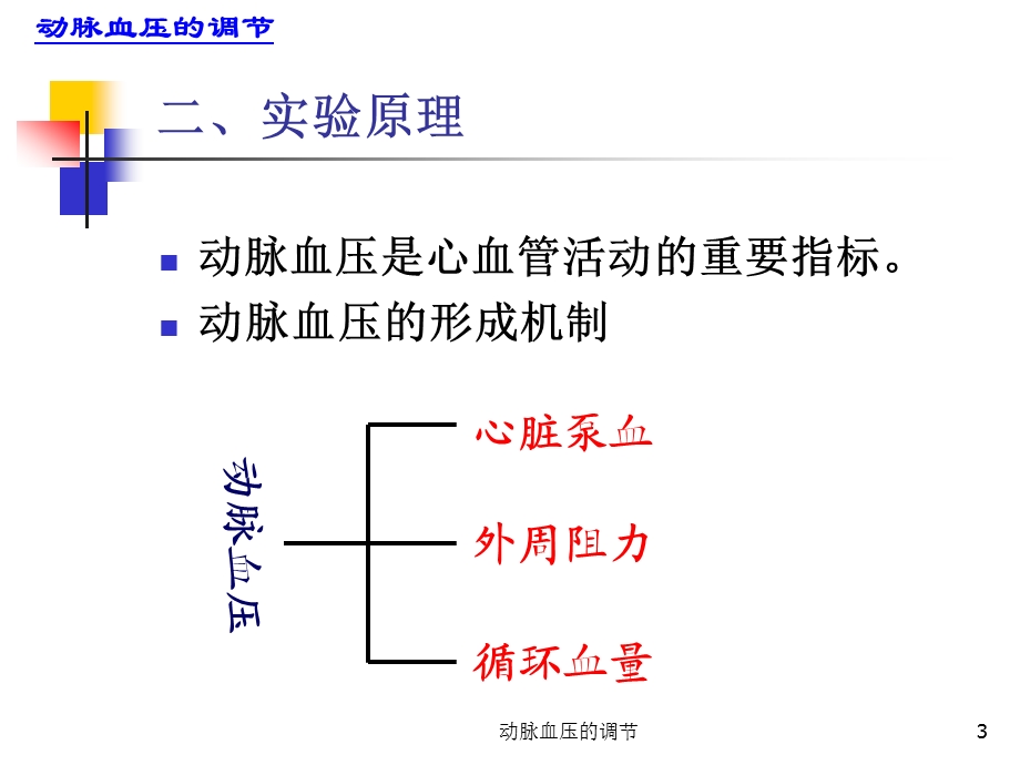 动脉血压的调节课件.ppt_第3页