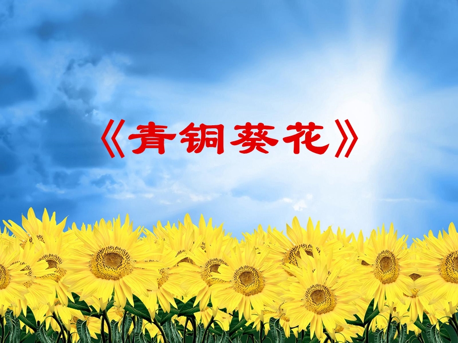 《青铜葵花》ppt课件.ppt_第1页