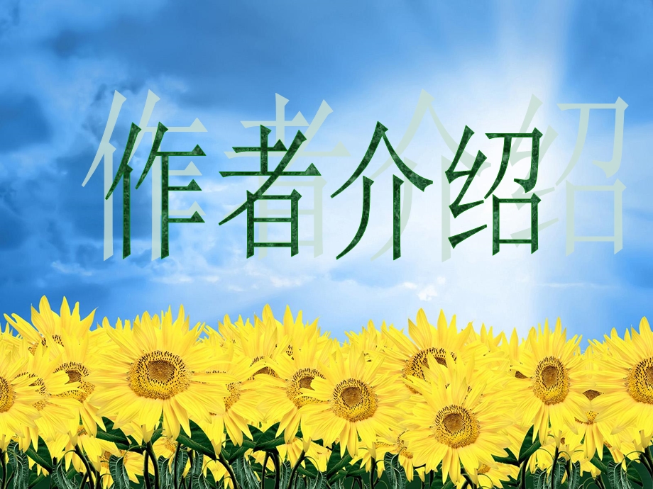 《青铜葵花》ppt课件.ppt_第3页