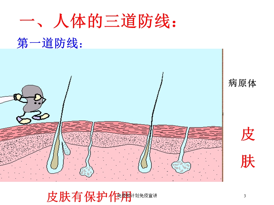 免疫和计划免疫宣讲培训课件.ppt_第3页