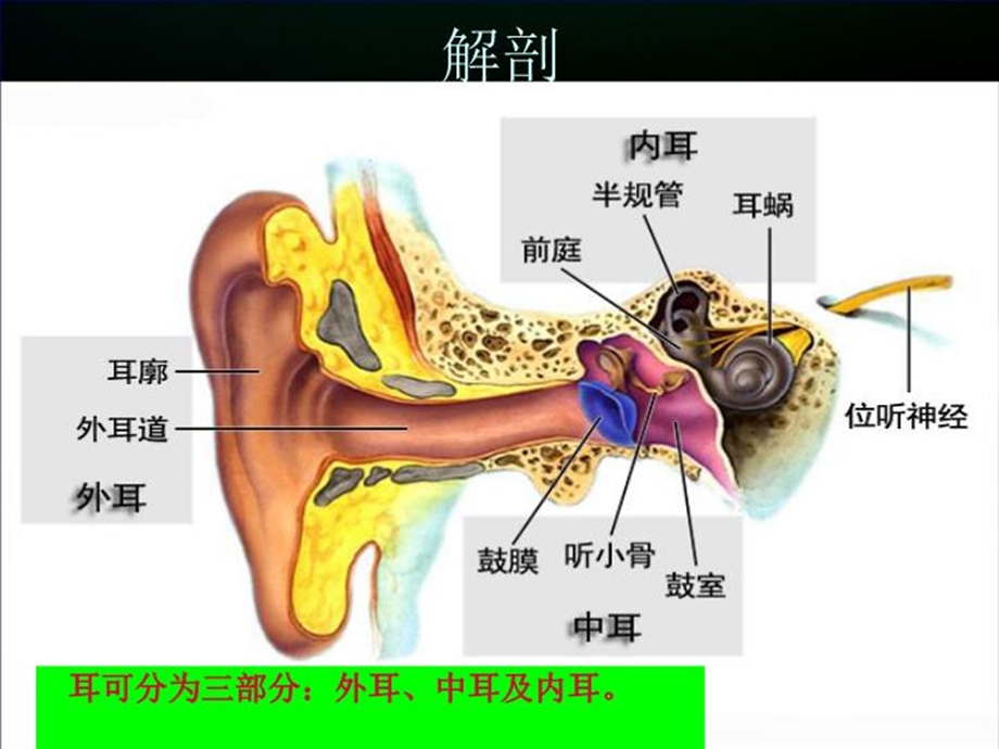 化脓性中耳炎的护理教材教学课件.ppt_第2页