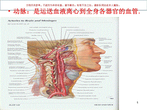 动脉医学知识讲座培训课件.ppt