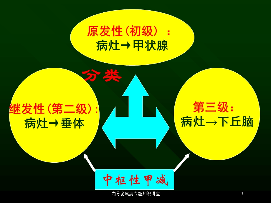 内分泌疾病专题知识讲座培训课件.ppt_第3页