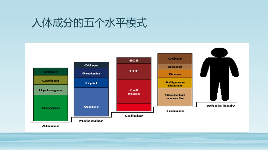 人体成分分析的临床应用ppt课件.pptx_第2页