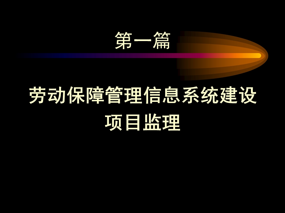 劳动保障管理信息系统建设课件.ppt_第2页