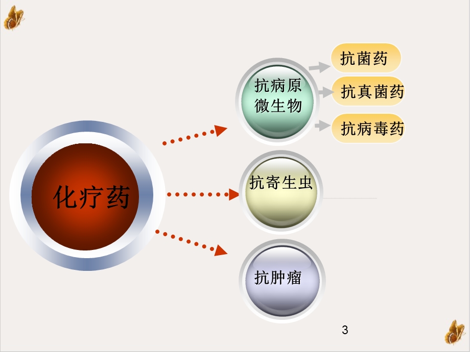 化学治疗药物概论实用版课件.ppt_第3页