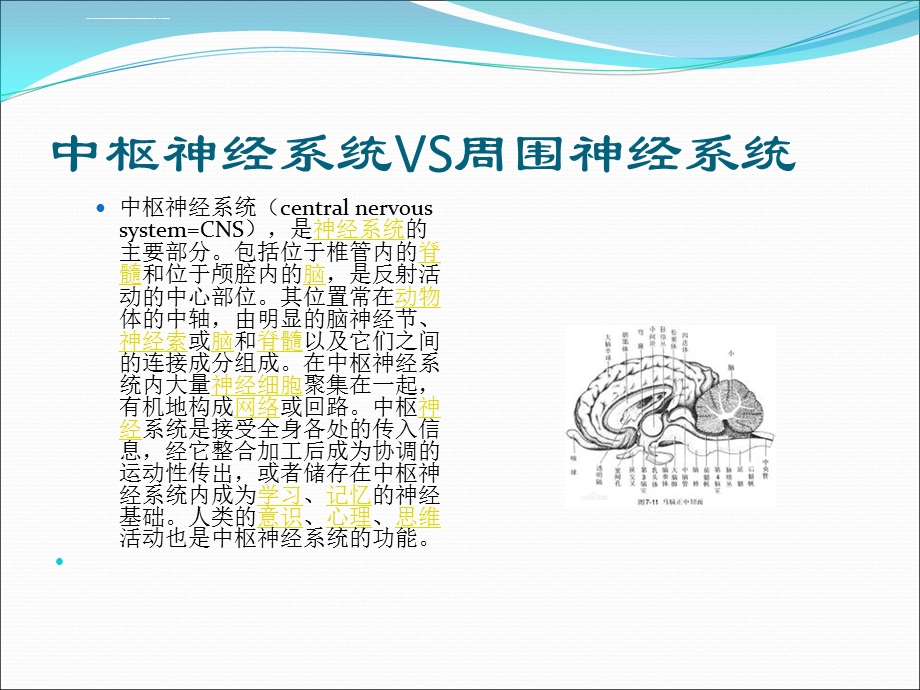 中枢性面瘫与周围性面瘫的区别ppt课件.ppt_第2页