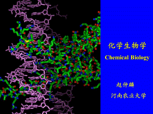 化学生物学绪论课件.ppt