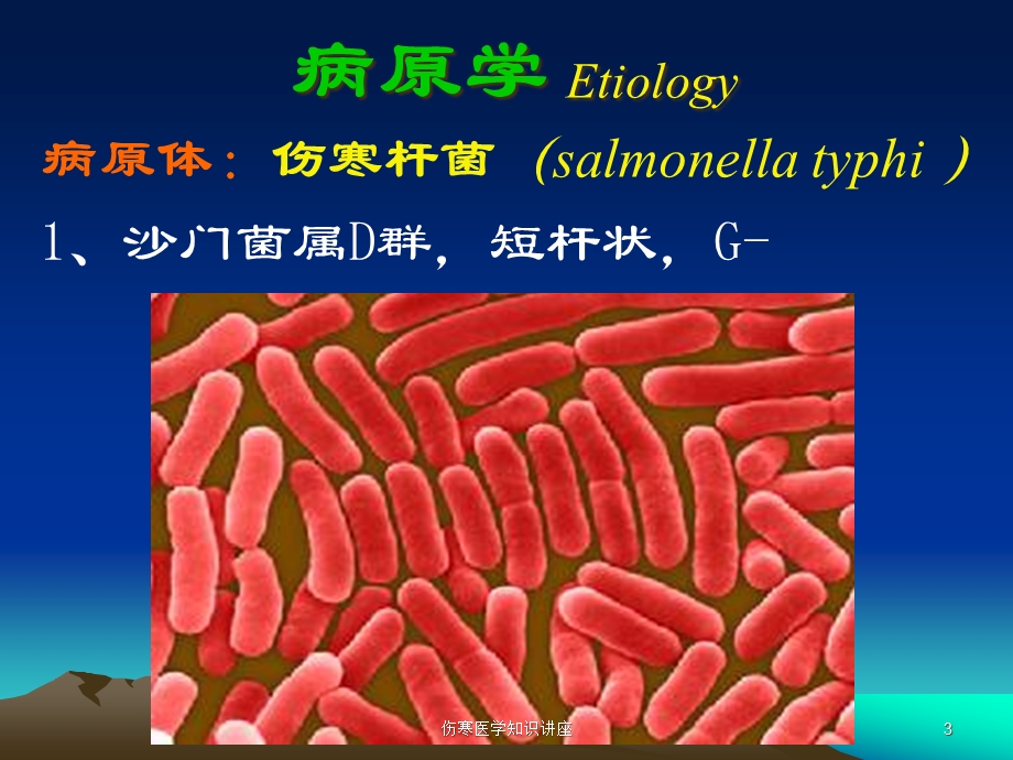 伤寒医学知识讲座培训课件.ppt_第3页