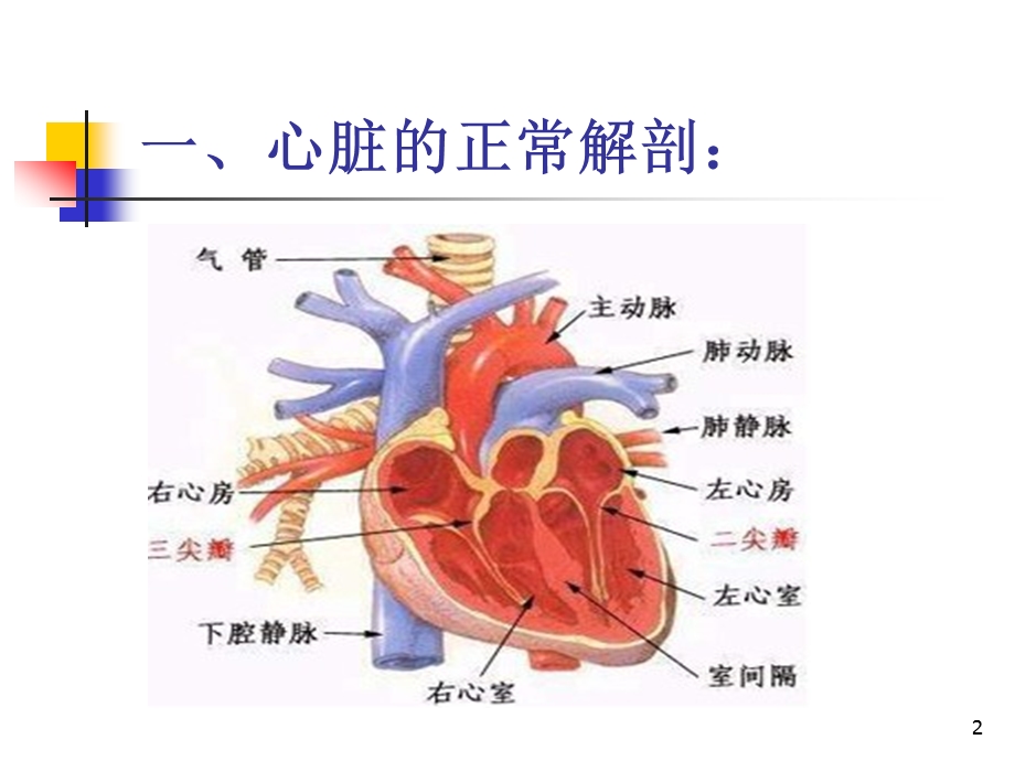 体外循环下冠状动脉搭桥手术配合课件.ppt_第2页