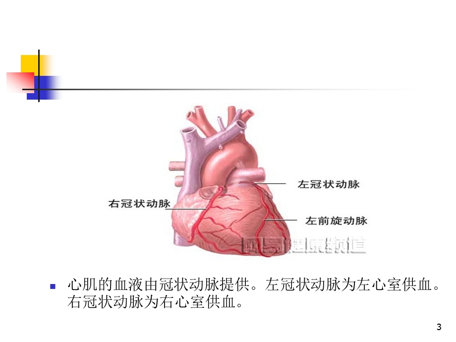 体外循环下冠状动脉搭桥手术配合课件.ppt_第3页