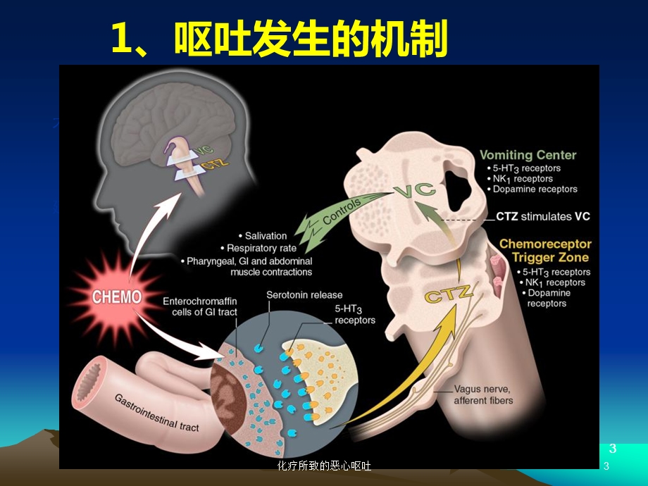 化疗所致的恶心呕吐培训课件.ppt_第3页