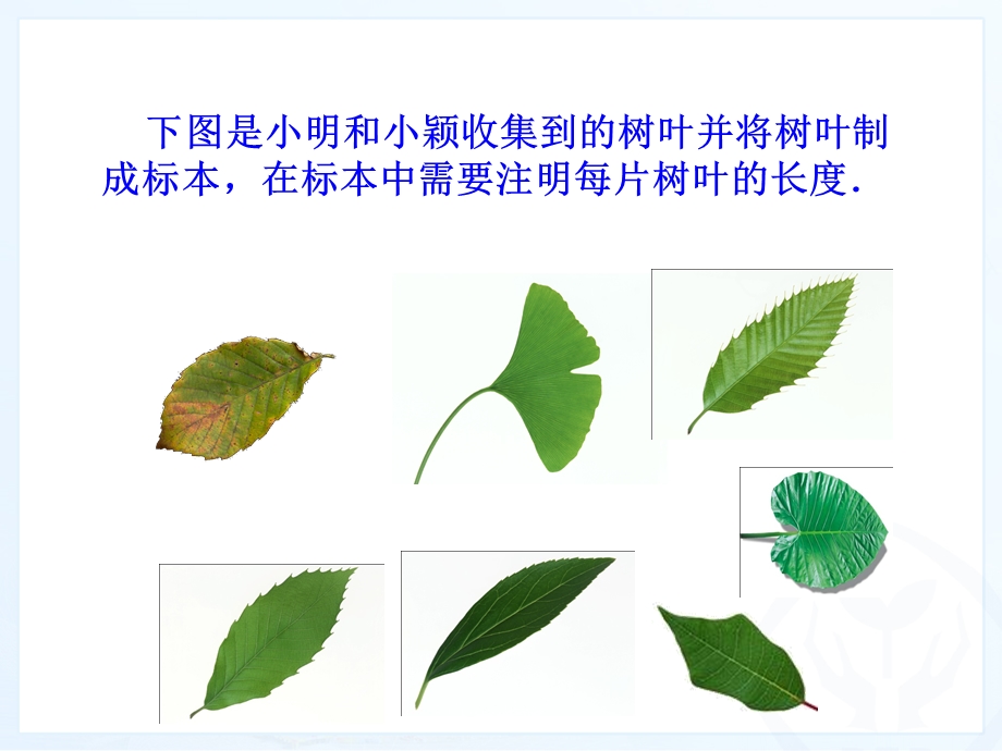 人教版七年级数学上册有理数的乘方第三课时ppt课件.ppt_第3页