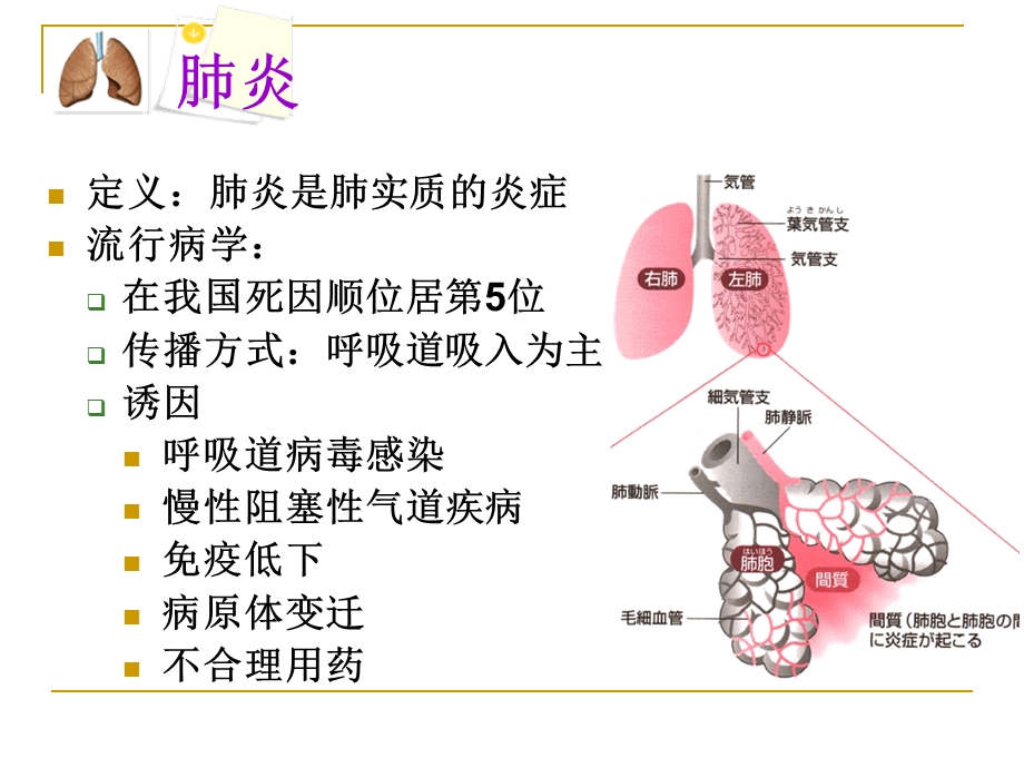 内科护理学呼吸系统肺炎课件.ppt_第2页