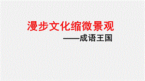 六年级小升初语文专题复习课件：成语复习(共17张).ppt