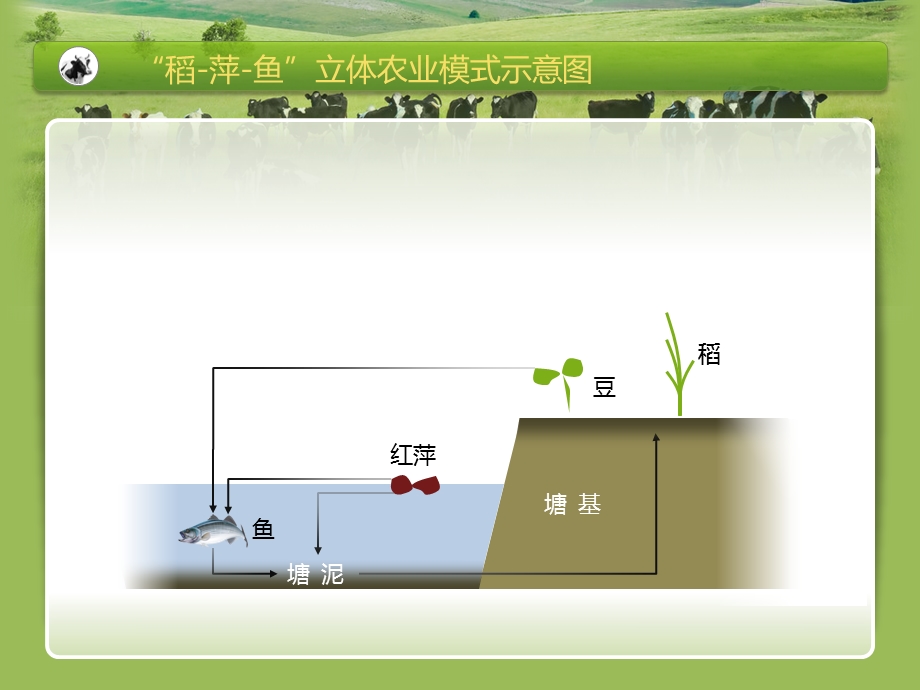 专题14农业地域类型3 混合农业ppt课件.pptx_第2页