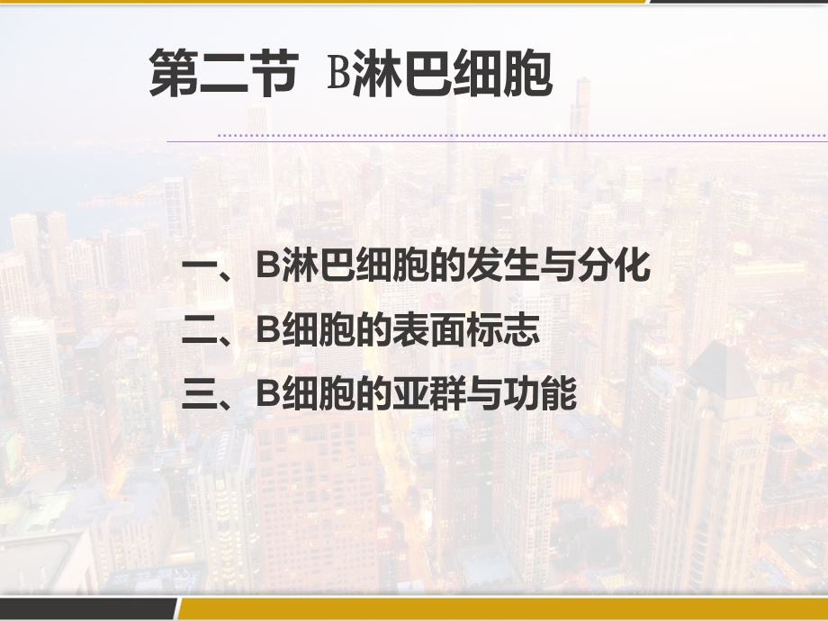 免疫细胞B淋巴细胞课件.pptx_第2页