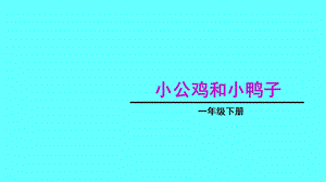 《小公鸡和小鸭子》公开课PPT课件.ppt