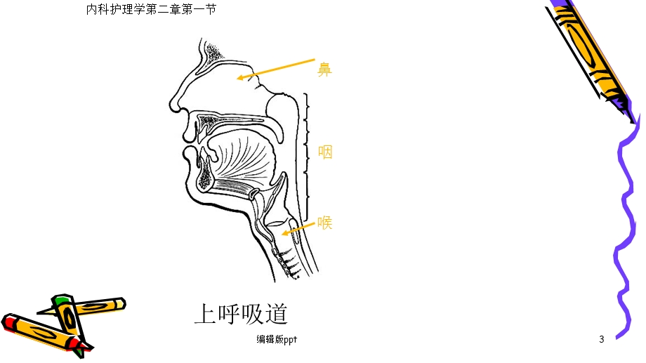 内科学护理呼吸系统常见症状课件.pptx_第3页