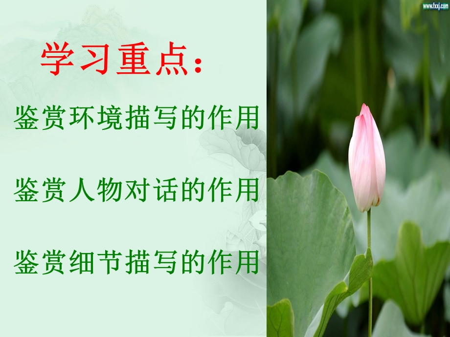 《荷花淀》ppt解析课件.ppt_第2页