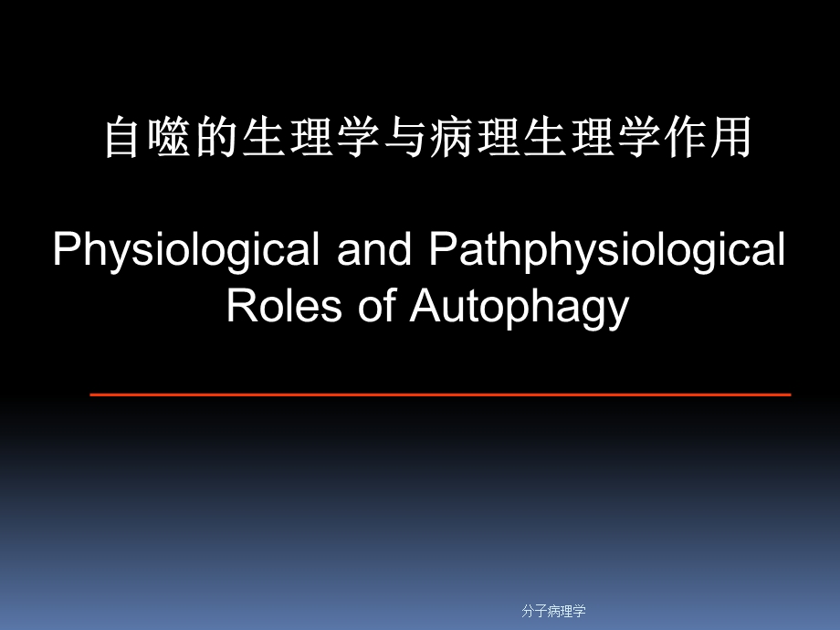 分子病理学课件.ppt_第1页