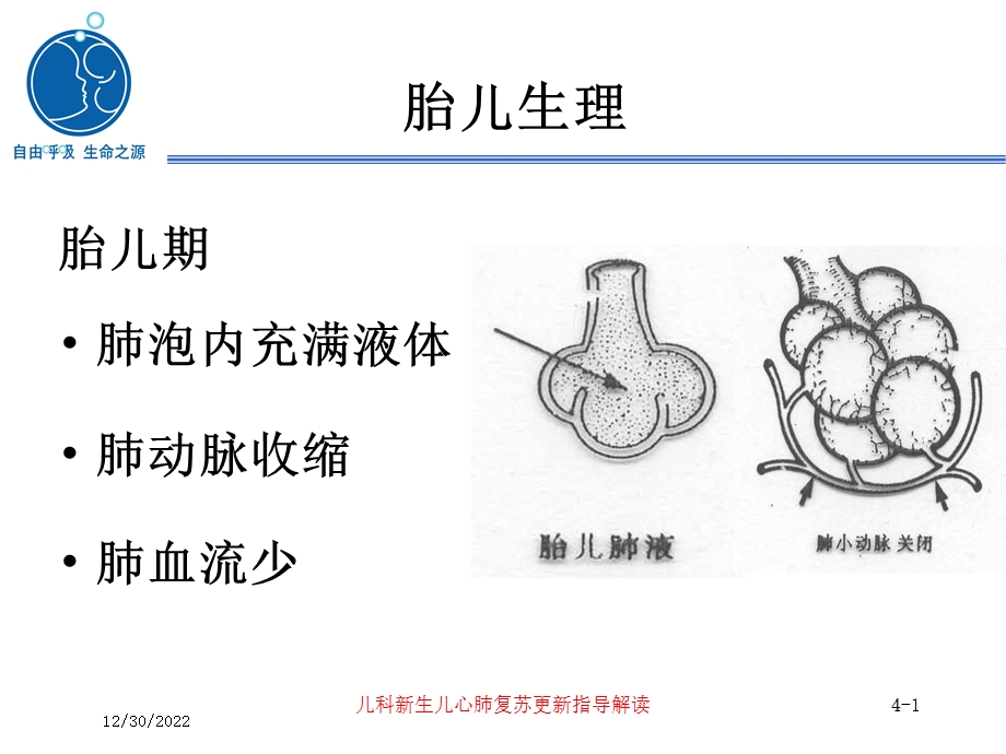 儿科新生儿心肺复苏更新指导解读培训课件.ppt_第1页