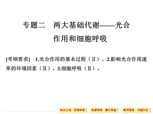 光合作用和呼吸作用二轮复习专题课件.pptx