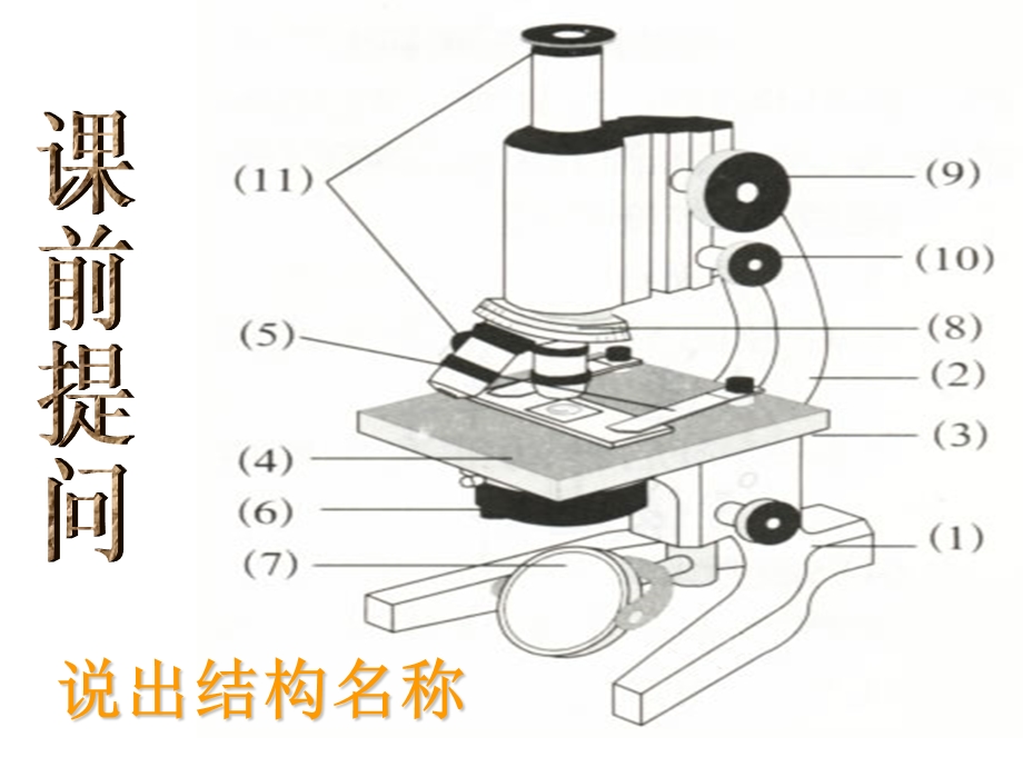 使用显微镜的步骤课件.ppt_第1页