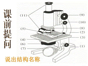 使用显微镜的步骤课件.ppt