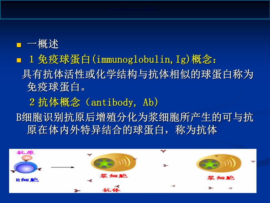 免疫球蛋白医学课件.ppt_第3页