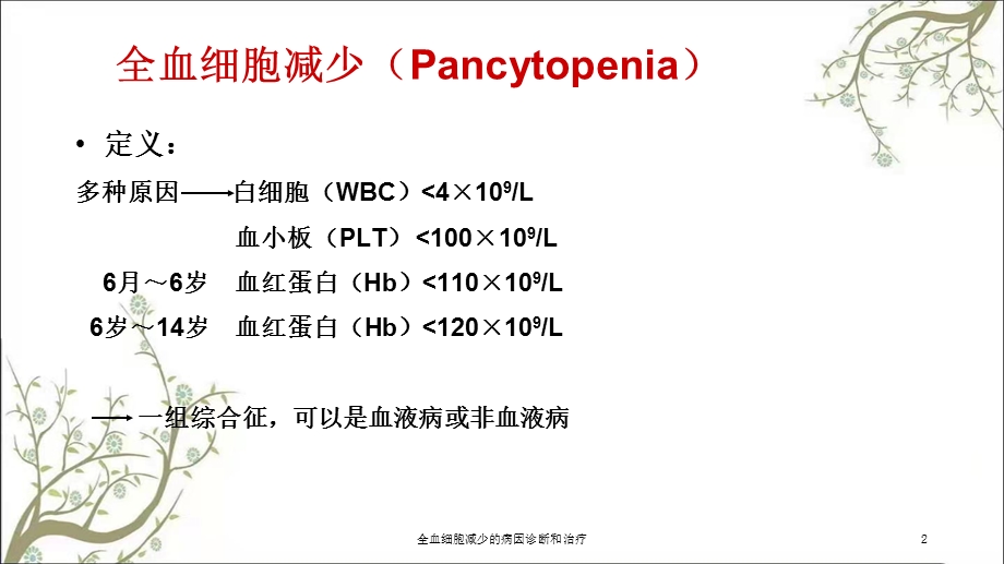 全血细胞减少的病因诊断和治疗课件.ppt_第2页