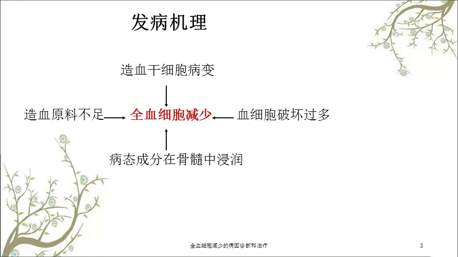 全血细胞减少的病因诊断和治疗课件.ppt_第3页