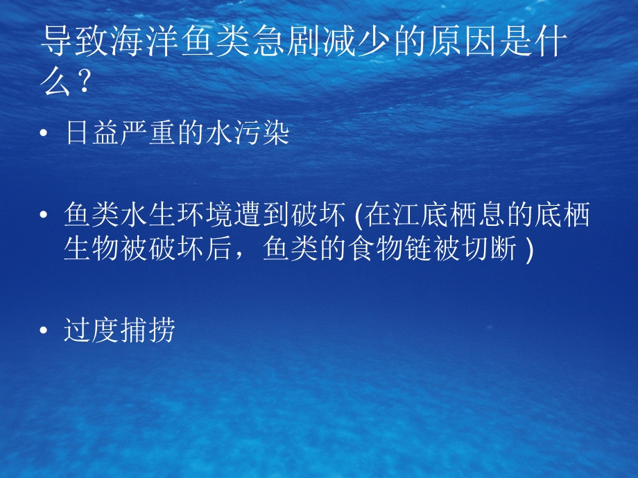 《美妙的海洋世界》ppt课件.ppt_第2页