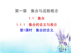 【人教A版】选修一：1.1.1《集合的含义与表示》ppt课件.ppt